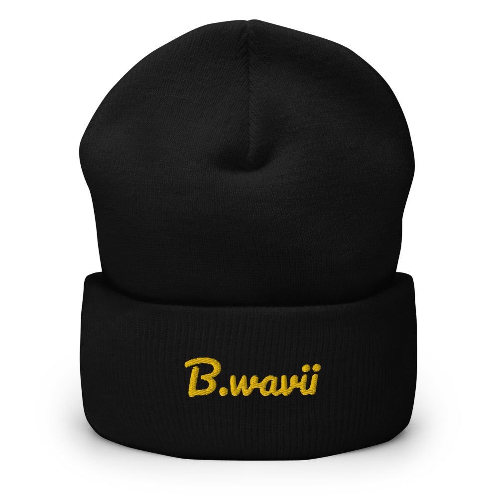Cuffed Beanie