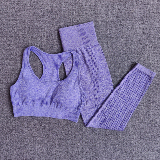 Seamless Yoga Set Fitness Sports Suit Leggings Workout Pants - Biwav