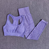 Seamless Yoga Set Fitness Sports Suit Leggings Workout Pants - Biwav